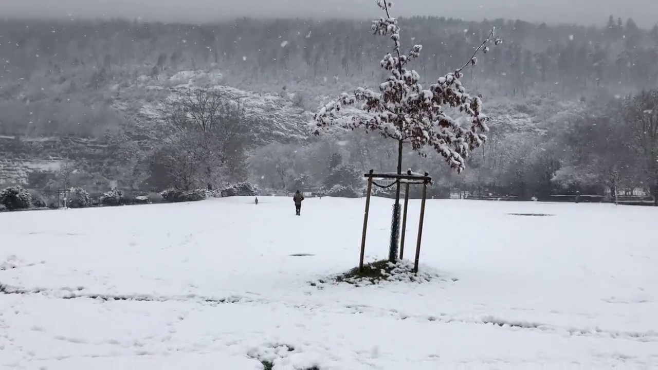 冬天，贝尔湖边下雪的天气视频素材