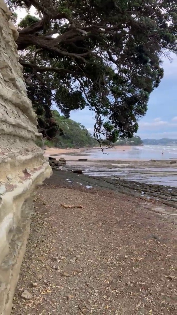 新西兰奥克兰的海滩景色视频素材