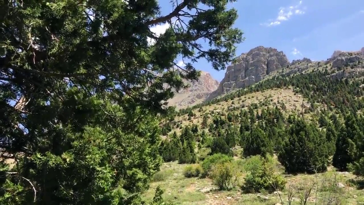 埃姆利森林和阿拉达格拉山脉视频下载