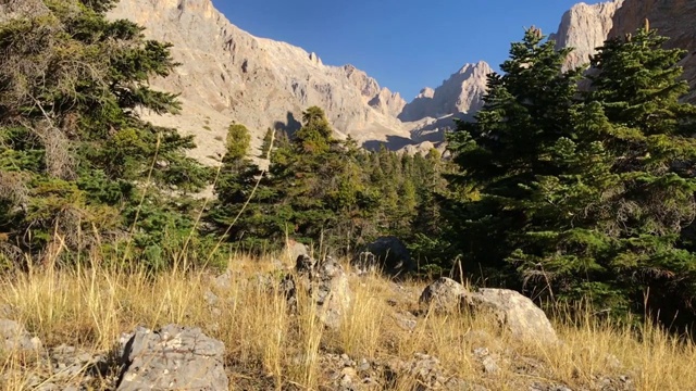 埃姆利森林和阿拉达格拉山脉视频下载