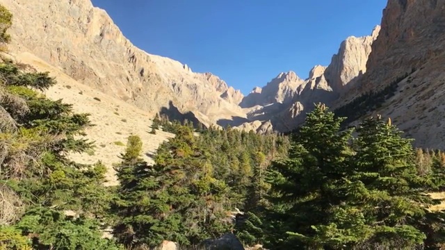 埃姆利森林和阿拉达格拉山脉视频素材