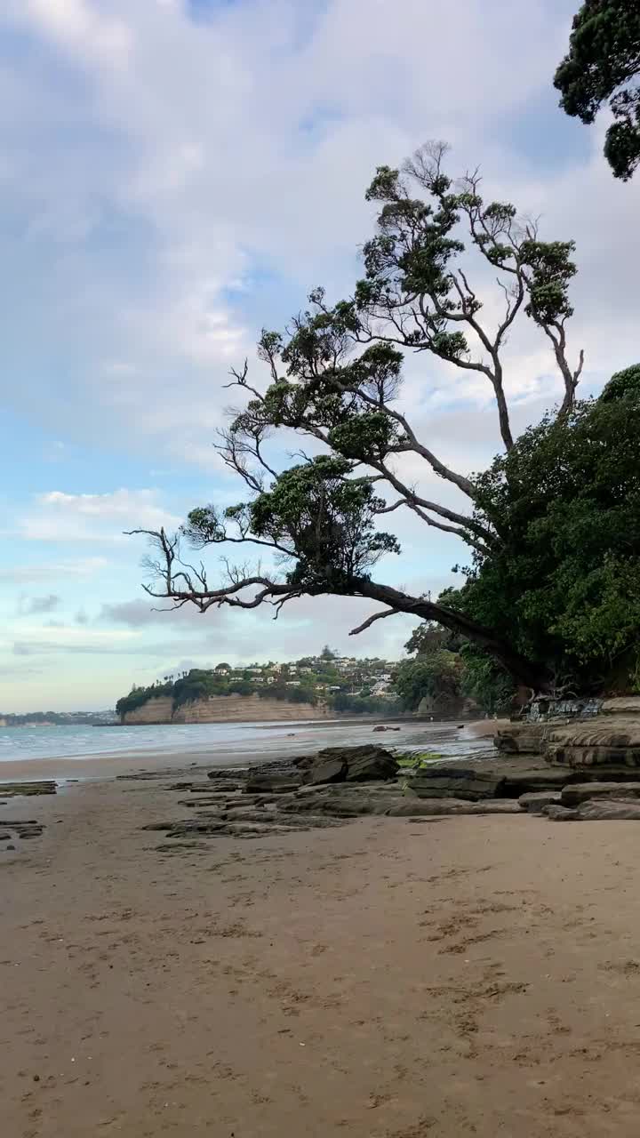 新西兰奥克兰的海滩景色视频素材