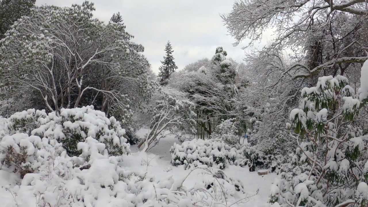 斯坦利公园温哥华冬季暴风雪4K超高清视频素材