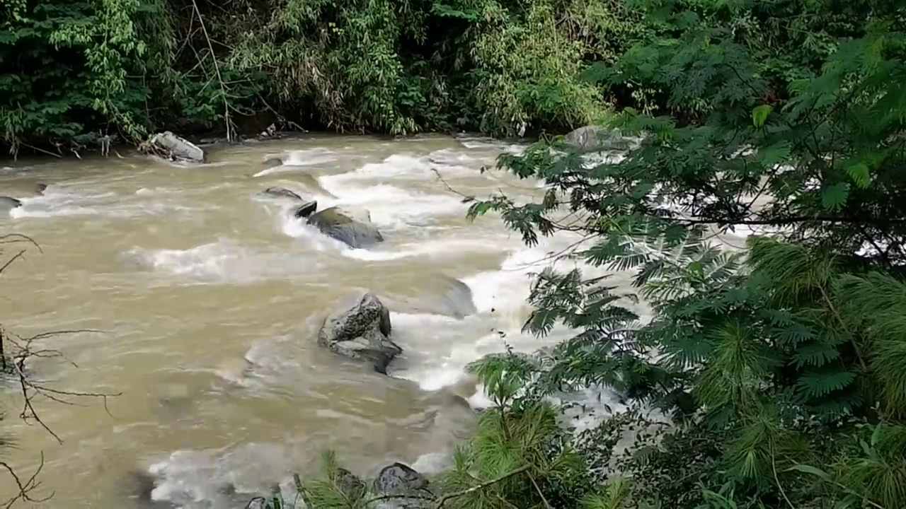 平静和放松河流流动的水与森林背景视频视频下载