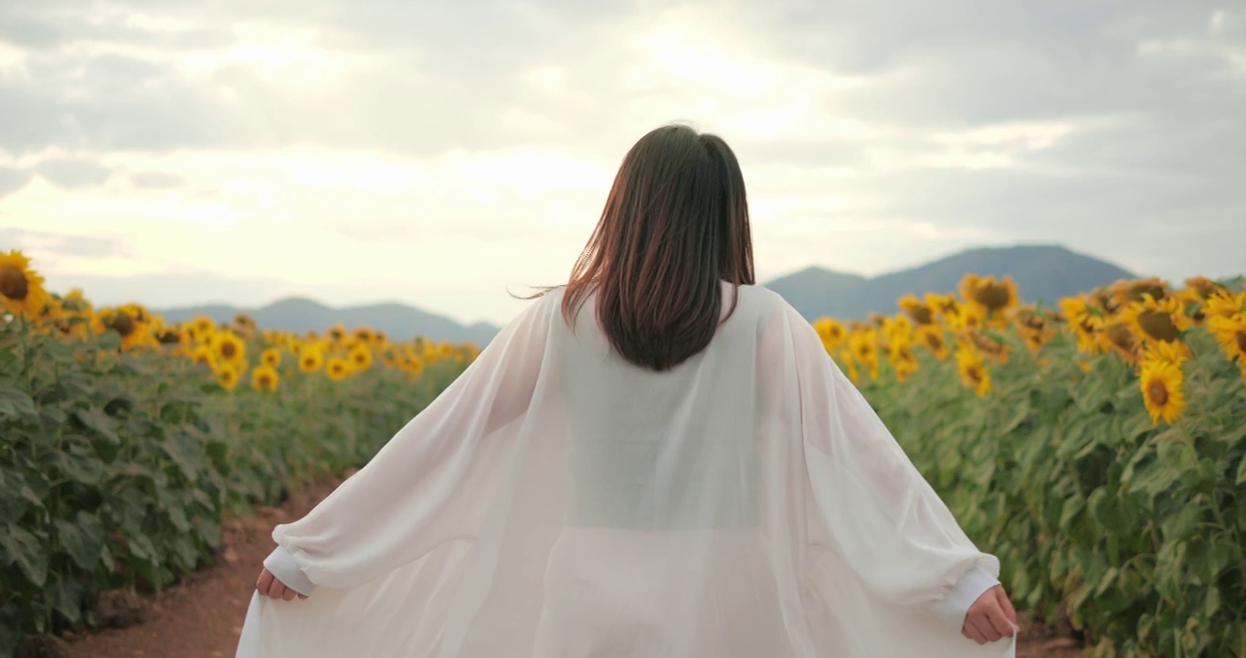 一个女人走在向日葵田里的后视图。享受在大自然中。幸福生活，旅游情感电影。休息一下。视频素材