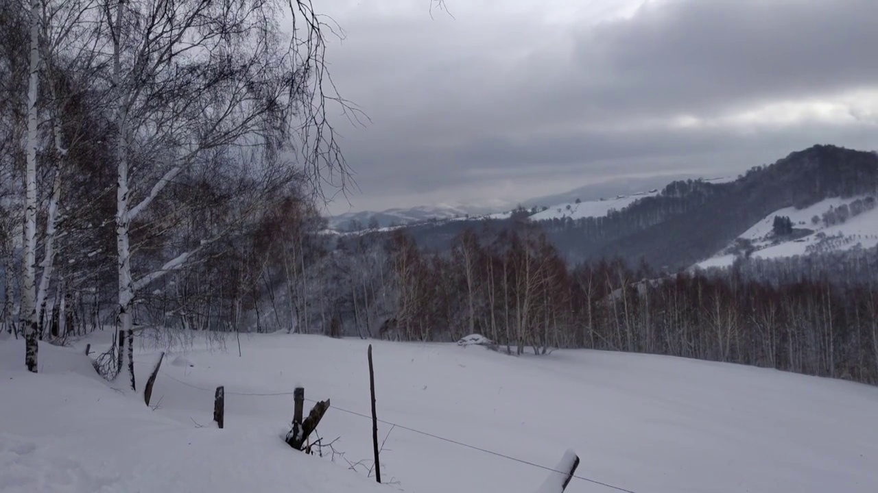 山顶上覆盖着落叶和针叶林的全景，积雪还在持续地从天上掉下来视频素材