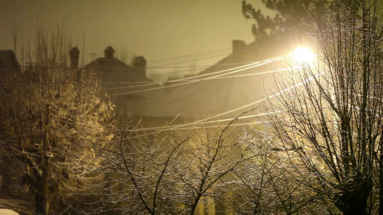 光滑的雪静静地落在没有叶子的树上，街道上没有行人视频素材