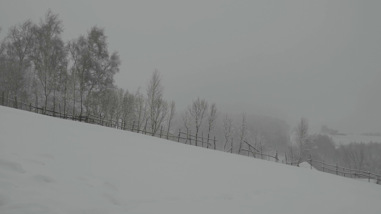 冬天阴暗的景色，木栅栏后面是白桦林，白雪皑皑视频素材