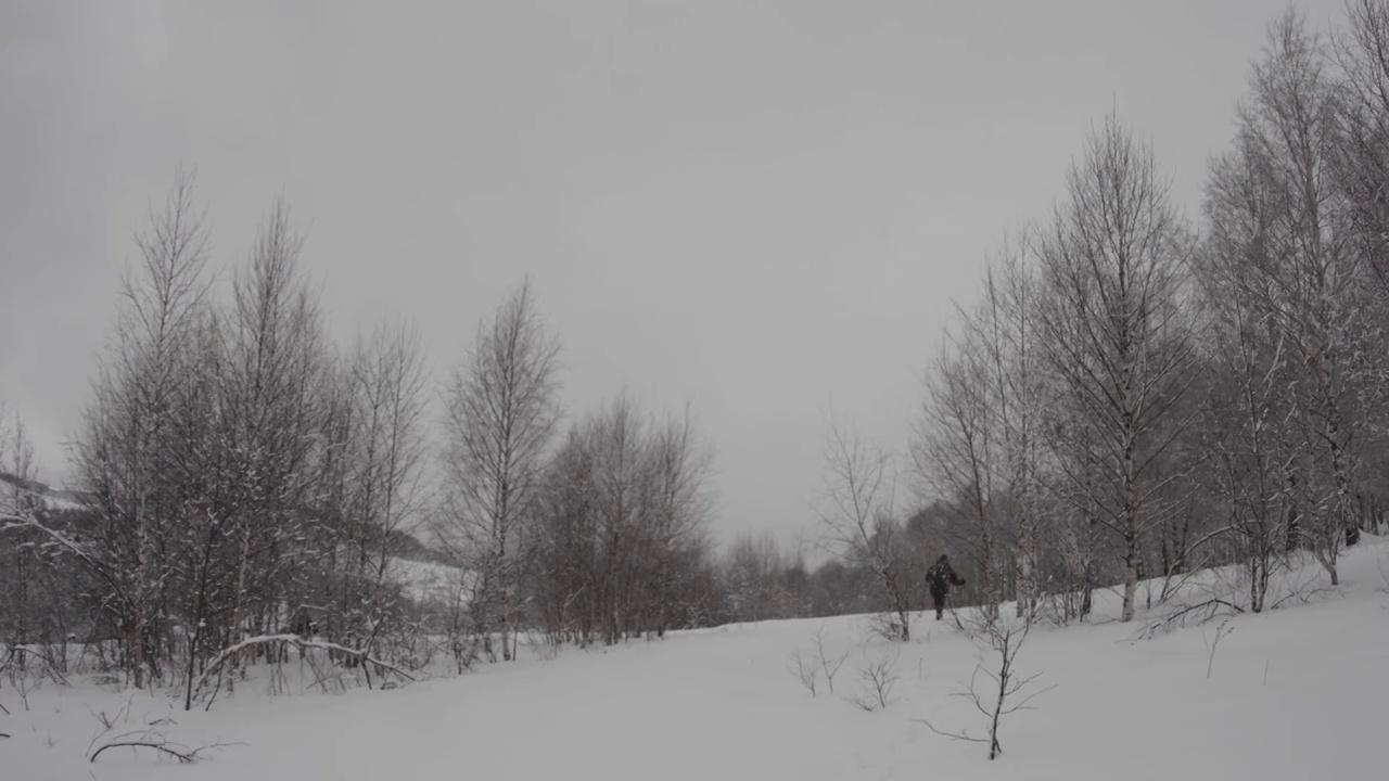 白桦林和白雪覆盖的山顶的水平全景图，一个男人在旅途中穿过视频素材