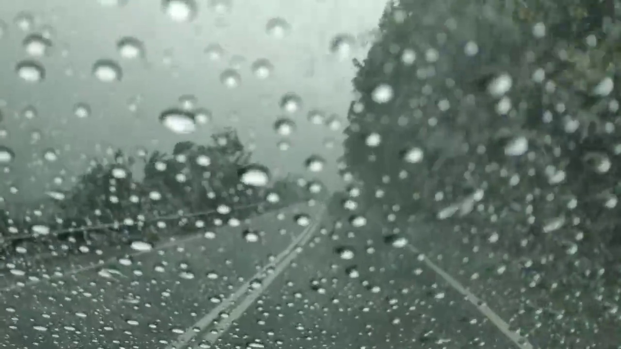 在落叶林边缘的路面上，暴雨打在汽车的挡风玻璃上视频素材