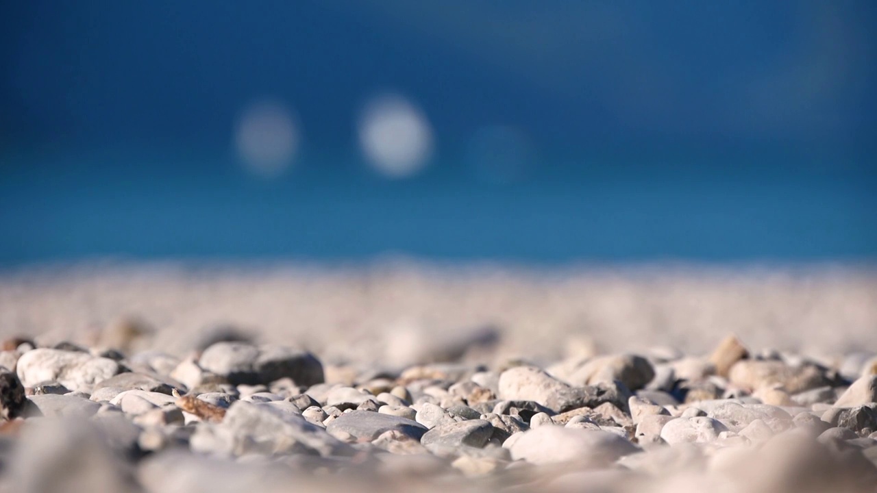 几个风帆冲浪板在平静的水附近的海岸视频素材