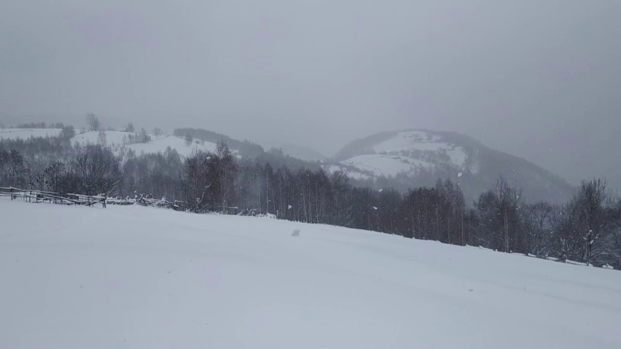 积雪覆盖着高山顶上的草地和落叶林视频素材