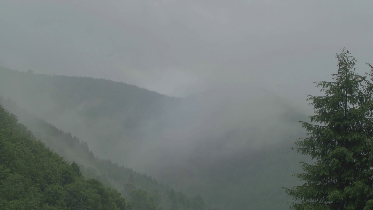 倾盆大雨落在青翠的山毛榉和橡树林上，云雾从山脊上落下视频素材