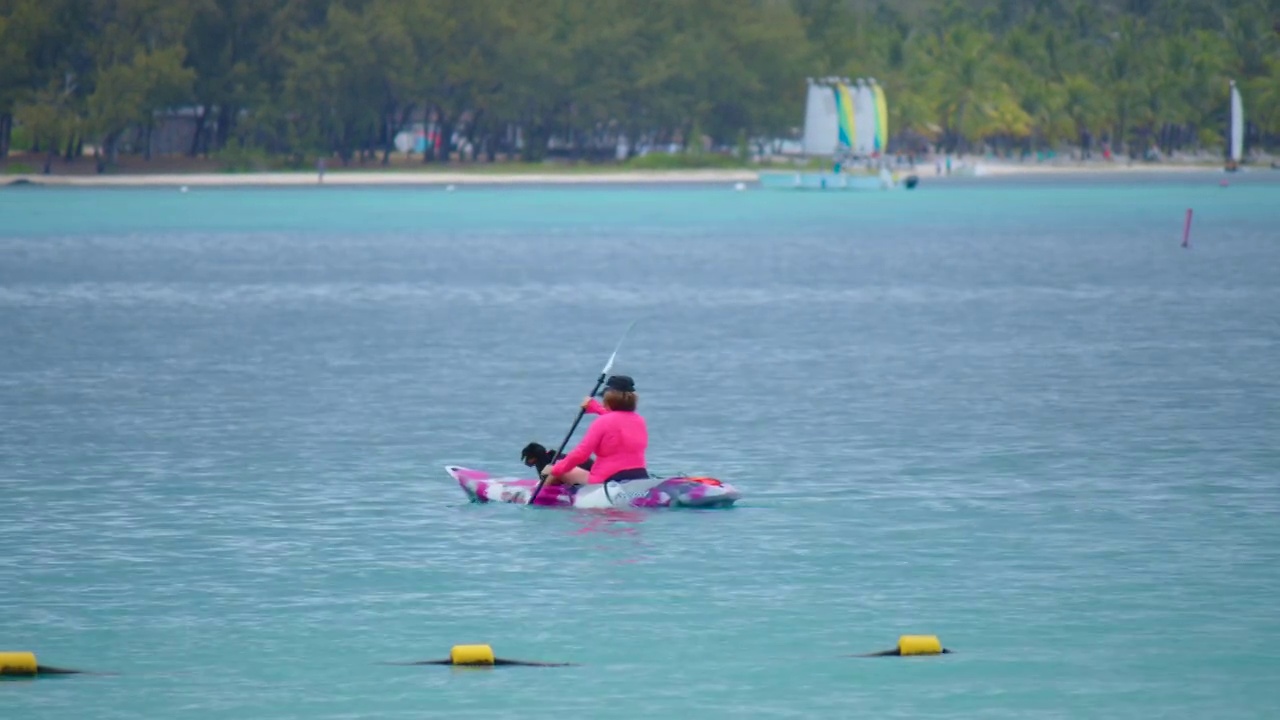 一个女人带着一只狗划着皮艇在美丽的泻湖里旅行视频素材