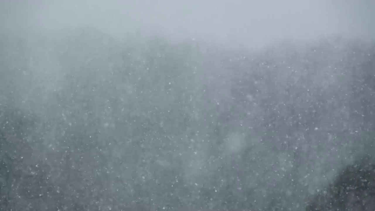 冬季森林的背景上的大雪，暴风雪，暴风雪视频素材