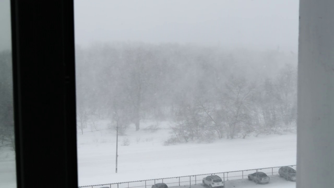 冬季森林的背景上的大雪，暴风雪，暴风雪视频素材