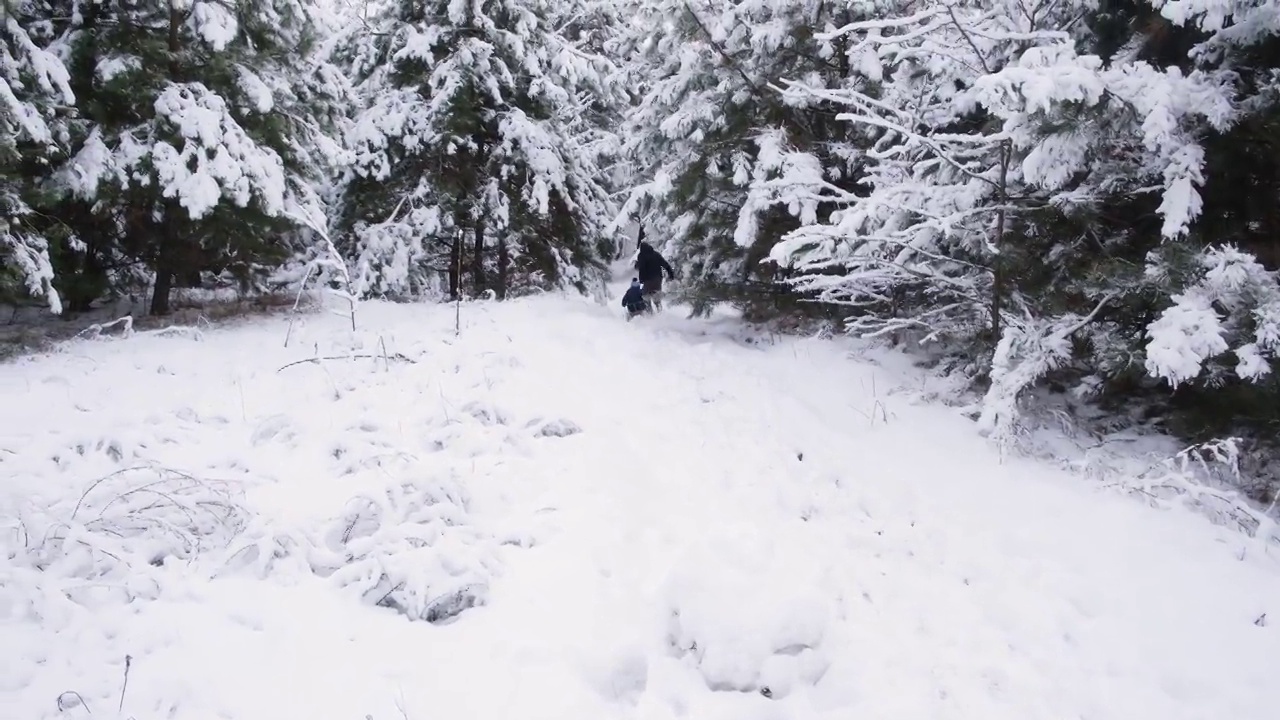 在冰雪覆盖的冬季森林里，爸爸拉着他的儿子滑雪。视频素材