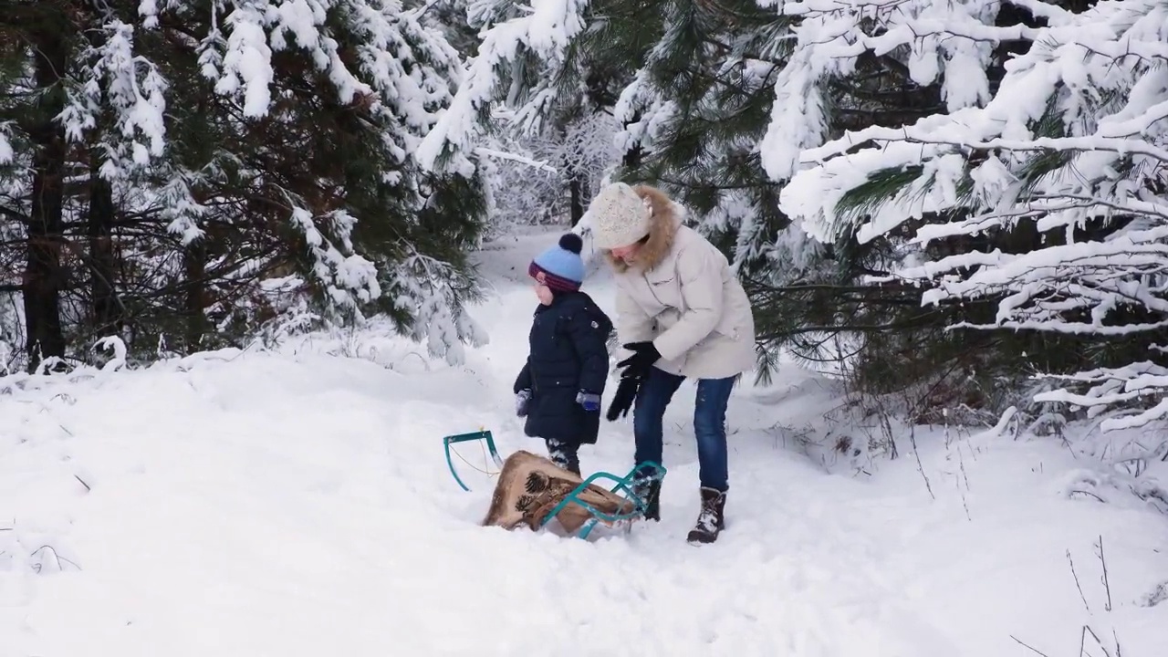 冬天，一位母亲在被雪覆盖的松树林中清理儿子外套上的雪视频素材