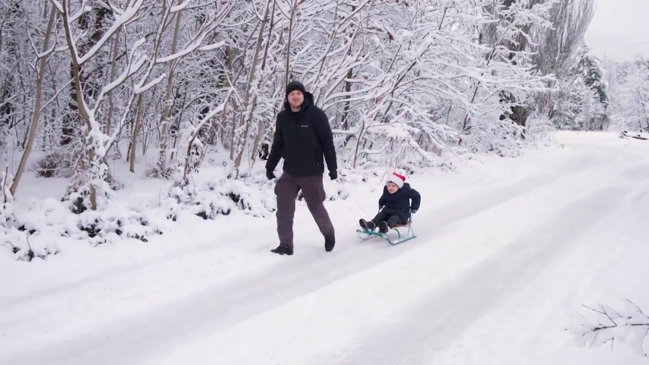 在冰雪覆盖的冬季森林里，爸爸拉着他的儿子滑雪。视频素材