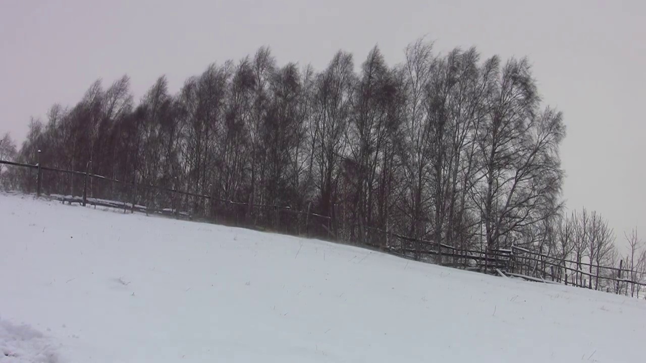 那白桦林是在寒风凛冽的冬天，河岸上覆盖着洁白的白雪视频素材