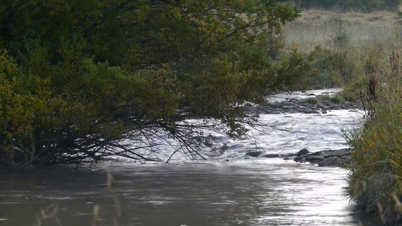 青山绿水潺潺流过视频素材