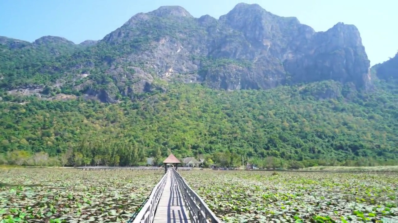 在Sam Roi Yot淡水沼泽或泰国的Bueng Bua Khao Sam Roi Yot国家公园的美丽的木路视频素材