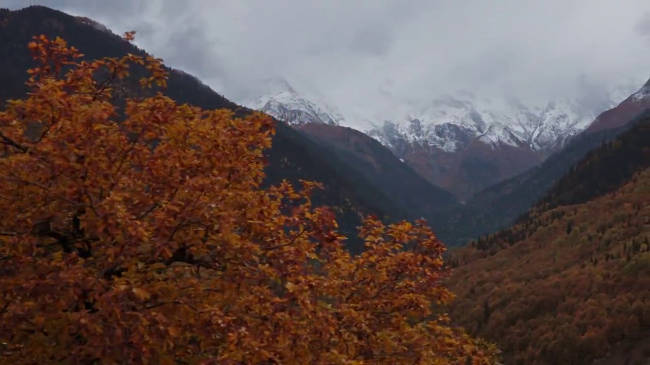 高山秋景视频素材