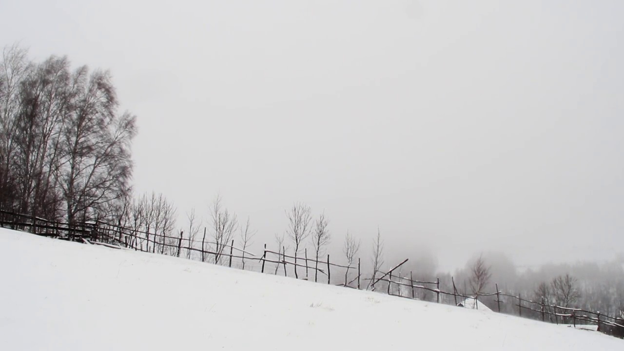 白桦林边缘的木栅栏和带刺铁丝后面吹着雪68视频素材