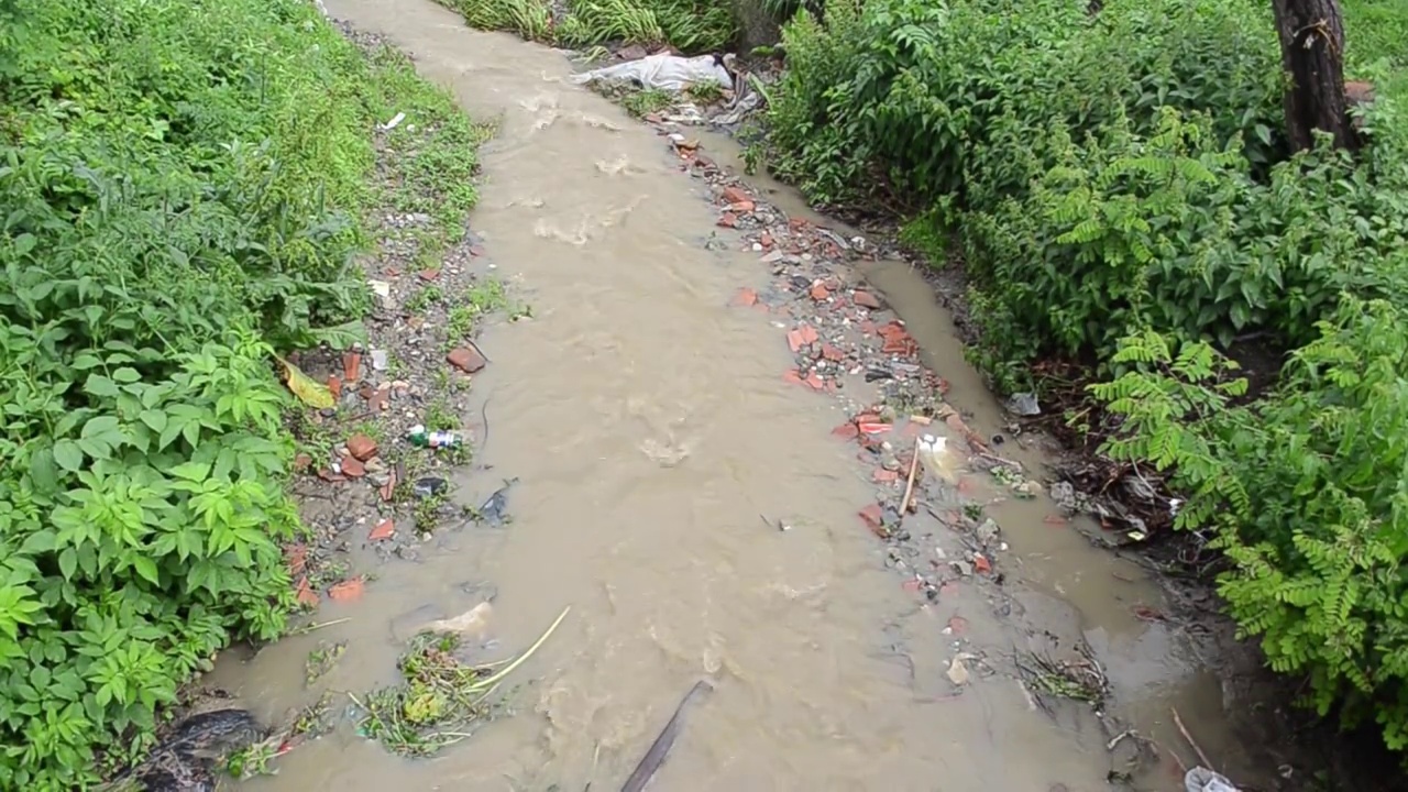 雨水泛滥的脏水从被绿色植被覆盖的河岸流过视频素材