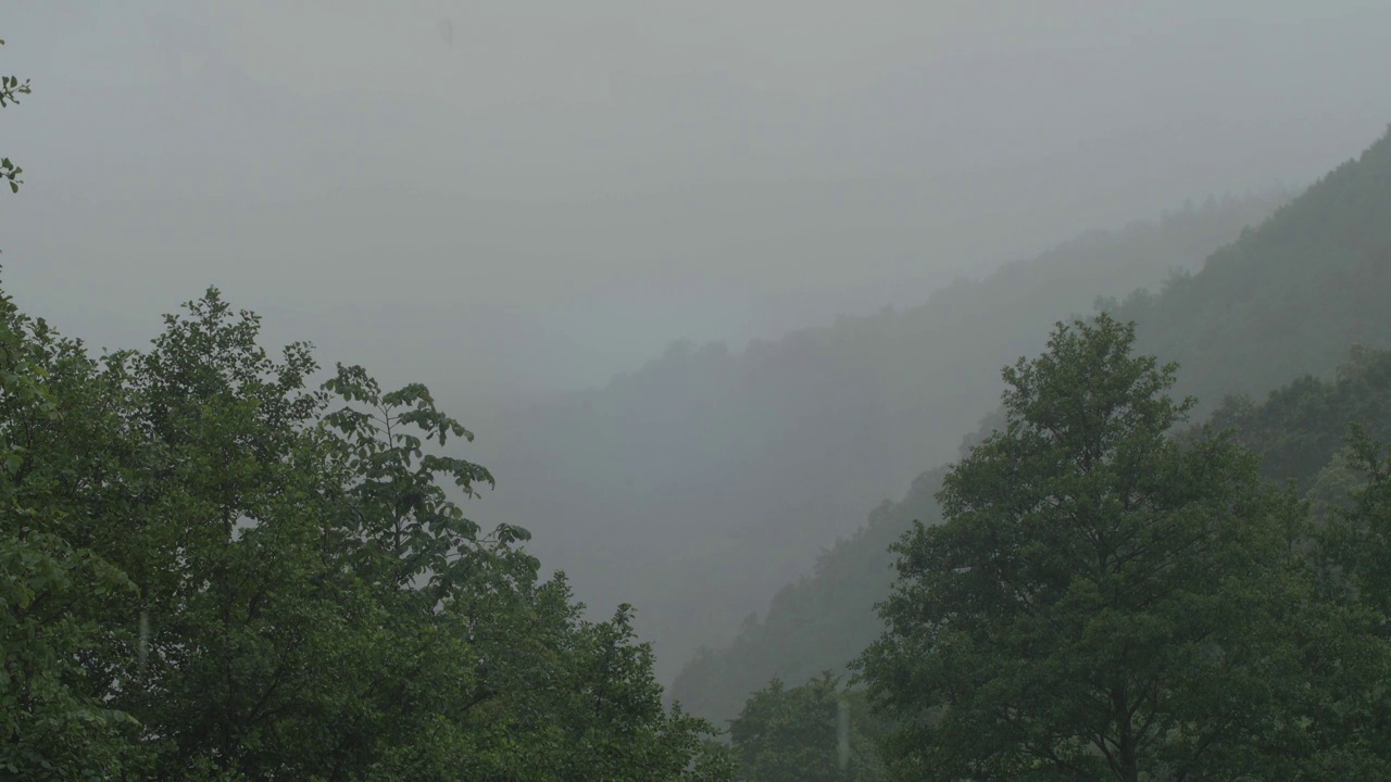 暴雨在山毛榉和橡树林上倾盆而下，云雾从山脊上落下视频素材