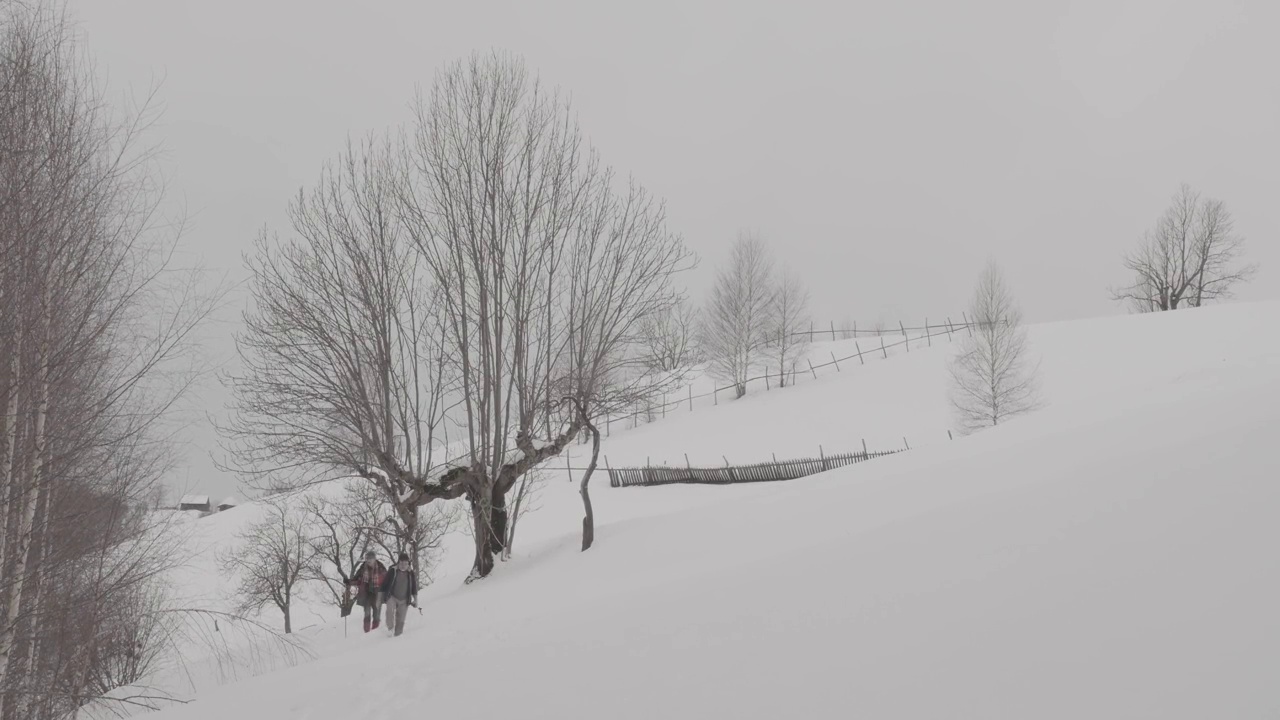 冬天的风景，大片的雪，白茫茫的，两个人徒步穿过大片的雪778 (2)视频素材