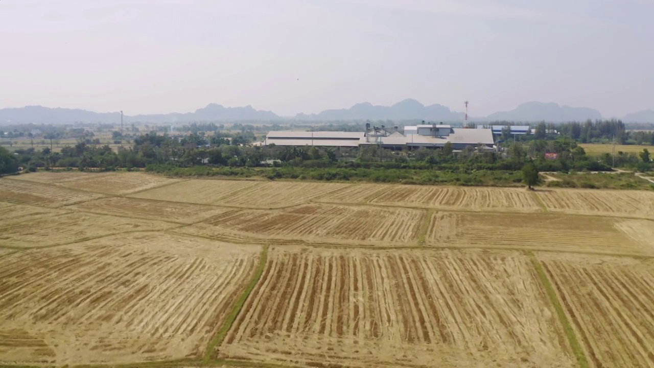 鸟瞰亚洲乡村或农村地区的新鲜稻田、绿色农田。自然景观背景。视频素材