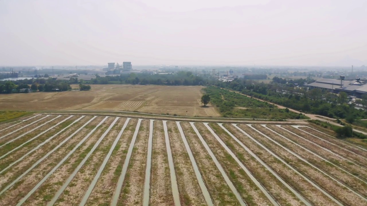 鸟瞰亚洲乡村或农村地区的新鲜稻田、绿色农田。自然景观背景。视频素材