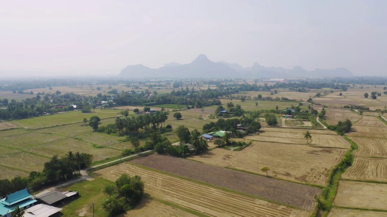 鸟瞰亚洲乡村或农村地区的新鲜稻田、绿色农田。自然景观背景。视频素材