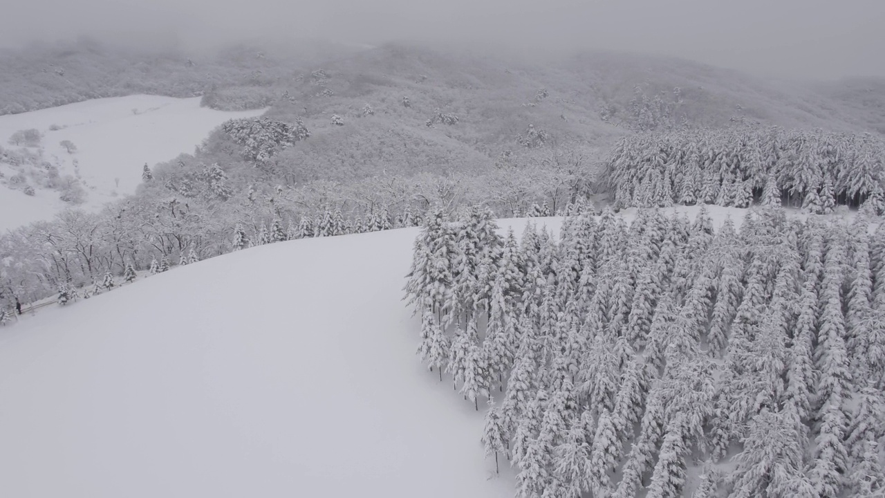 冬季——韩国江原道平昌郡大关岭郡三阳牧场的雪景视频素材