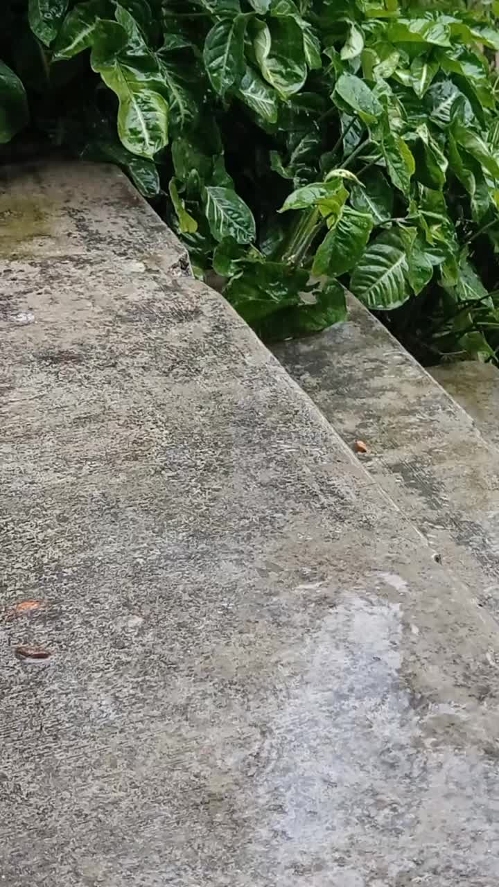 雨视图在水泥背景上视频素材