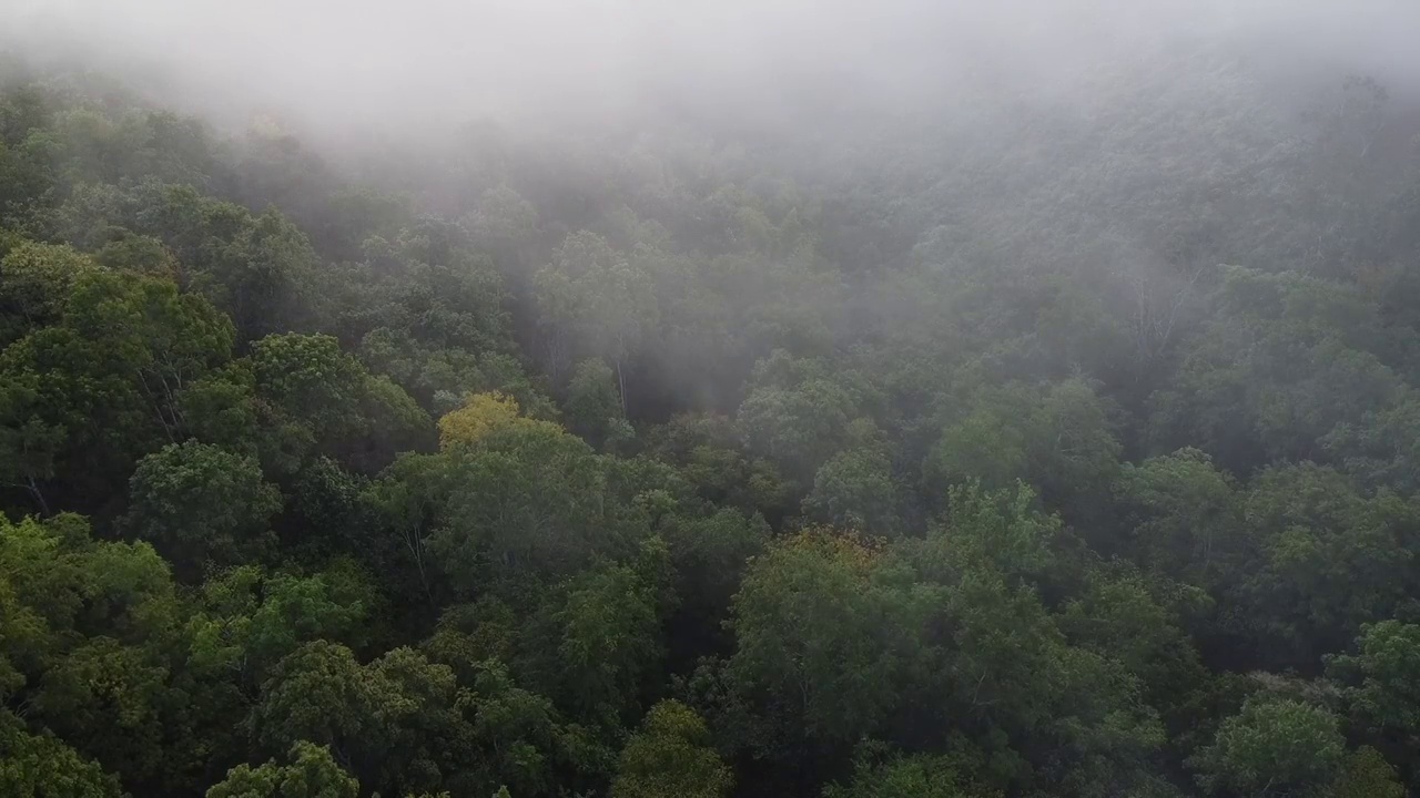 白色的雾或云风景鸟瞰图。在云雾缭绕的山顶上飞翔。视频素材