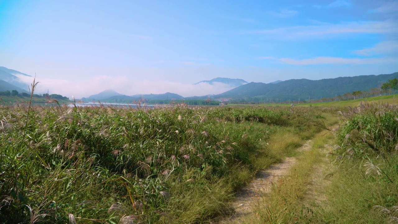 蟾津河是韩国的一条河流。全北东南部、全罗南道东部、庆南道西部等地的水都流入了该地区视频素材