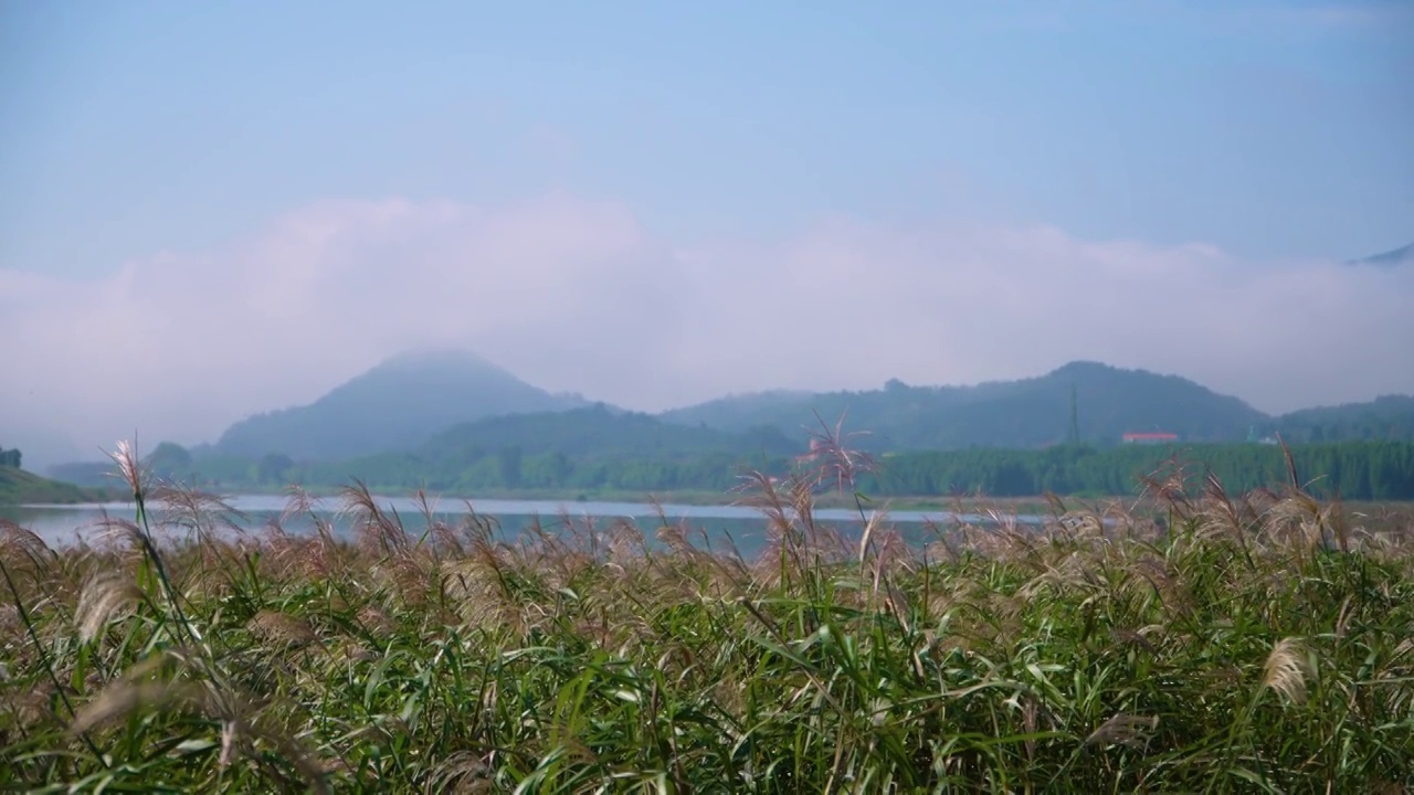 蟾津河是韩国的一条河流。全北东南部、全罗南道东部、庆南道西部等地的水都流入了该地区视频素材