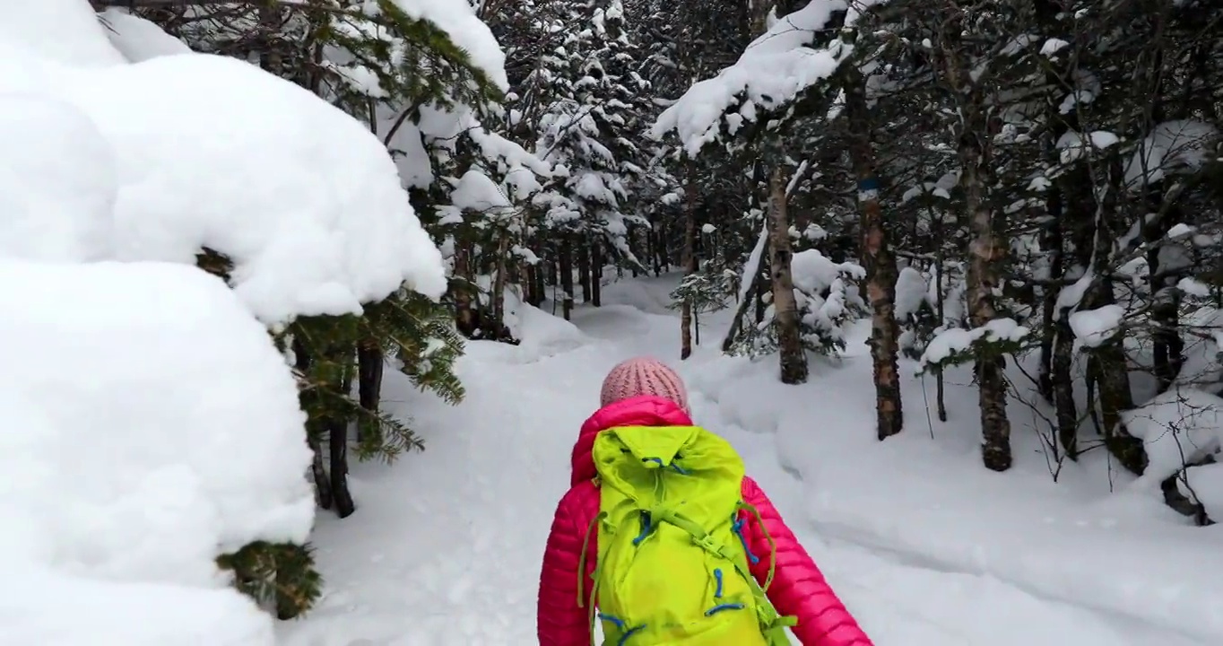 雪鞋女人在冬天的森林与雪覆盖的树木在雪天。人在雪中徒步旅行，雪鞋，生活健康积极的户外生活方式。加拿大魁北克省劳伦提斯的特伦布兰特山视频素材