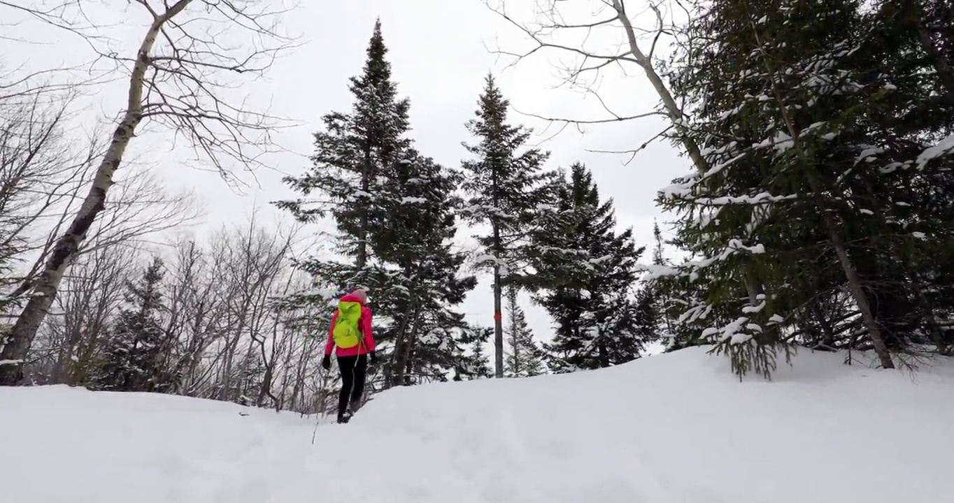 冬天登山的徒步旅行者穿雪鞋。雪鞋的特写镜头。视频素材