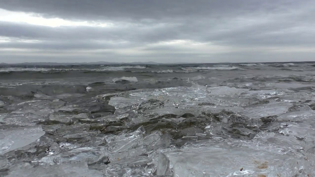 冰冷的海浪视频下载