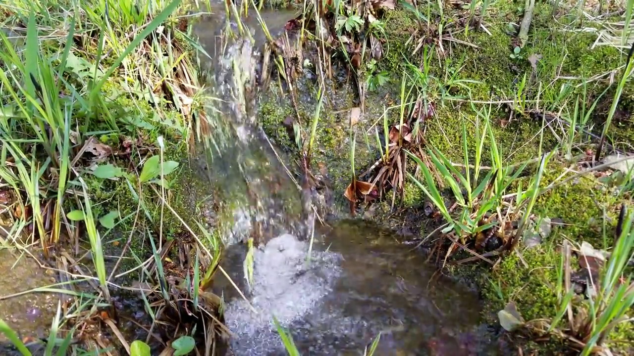 小河流封闭的自然背景。4 k分辨率视频视频素材