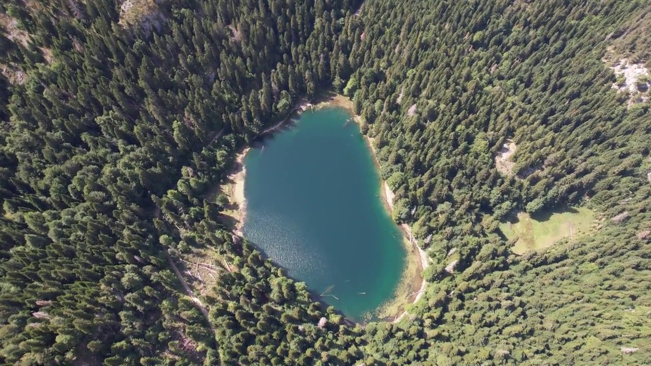 鸟瞰被茂密森林包围的山湖。黑山共和国,欧洲视频素材