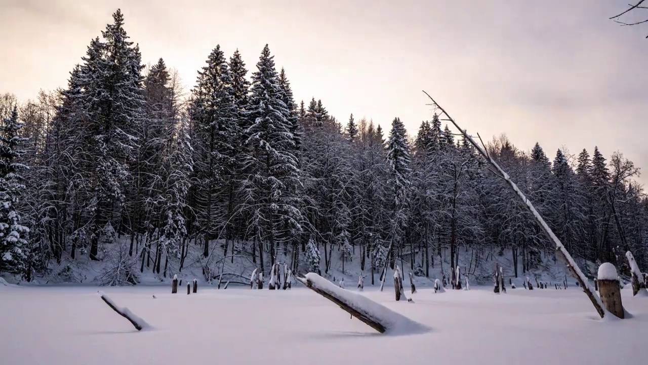 美丽的冬季风景，镜头移动到左边的湖面上。视频素材