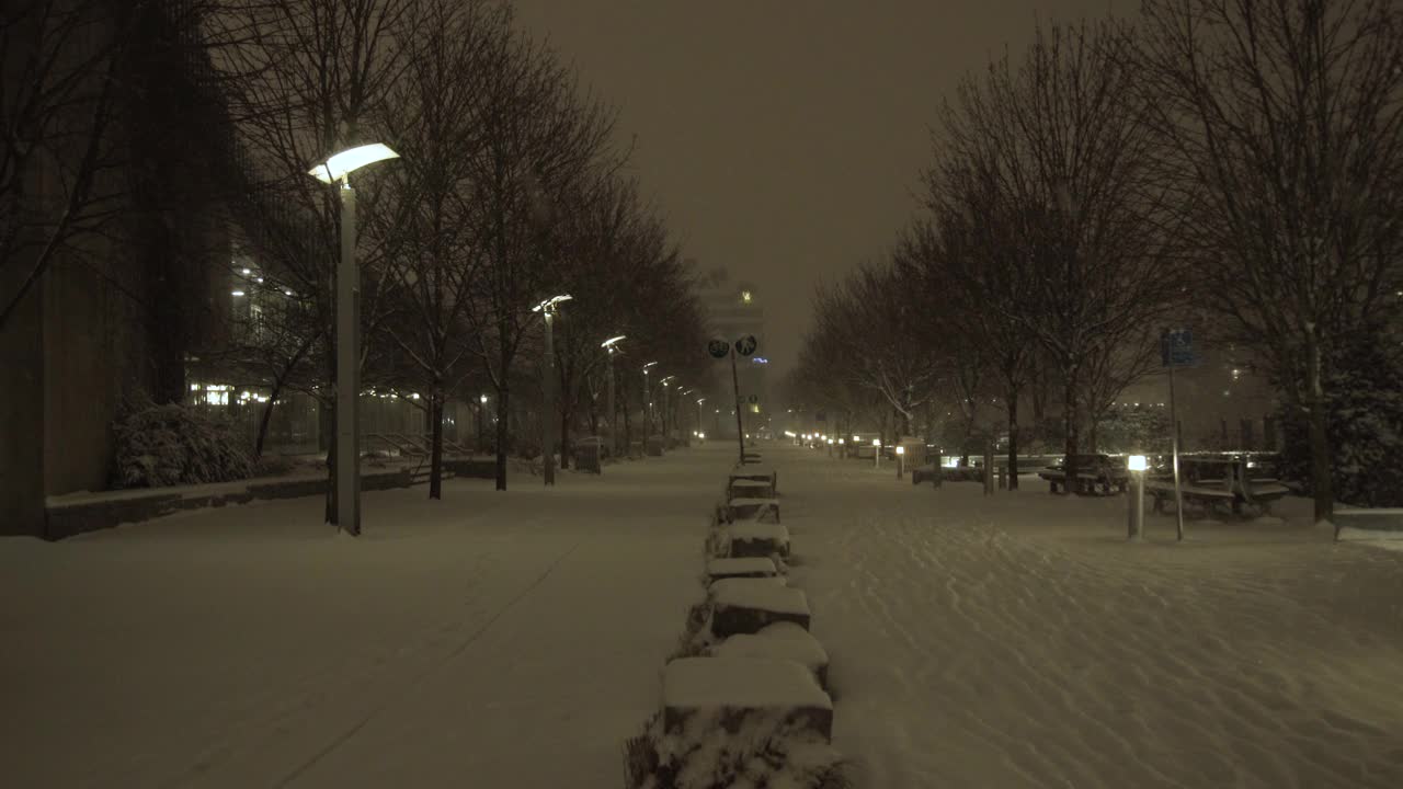 储存温哥华夜晚暴风雪的城市景观镜头视频下载