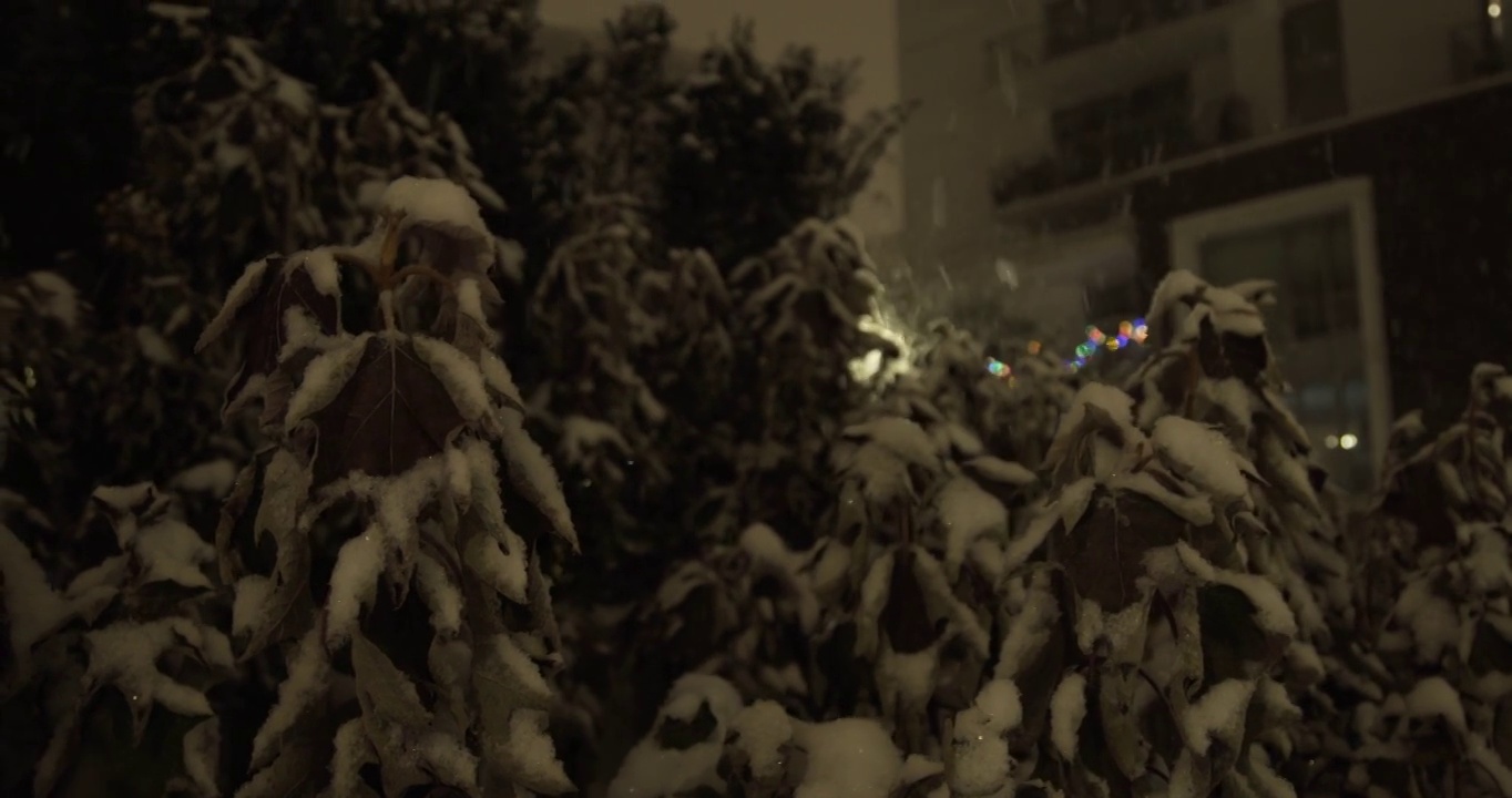 储存温哥华夜晚暴风雪的城市景观镜头视频下载