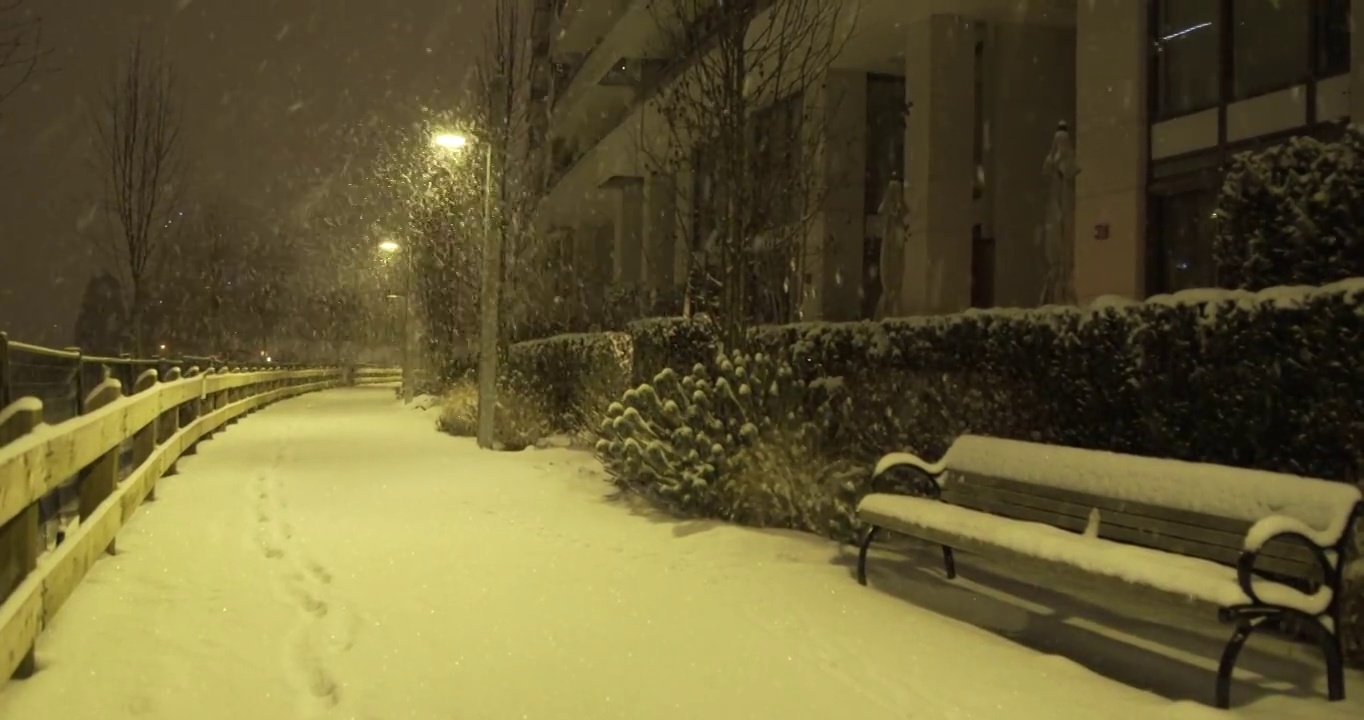 储存温哥华夜晚暴风雪的城市景观镜头视频素材