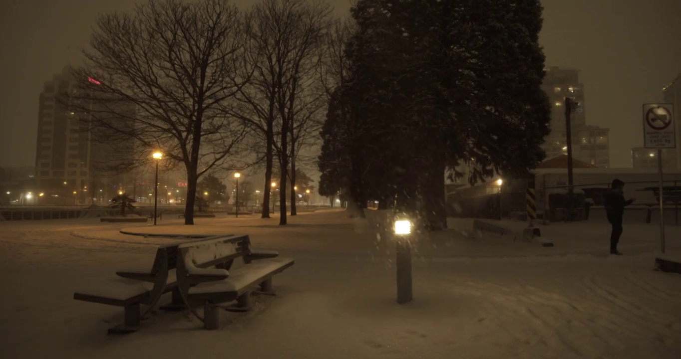 储存温哥华夜晚暴风雪的城市景观镜头视频下载