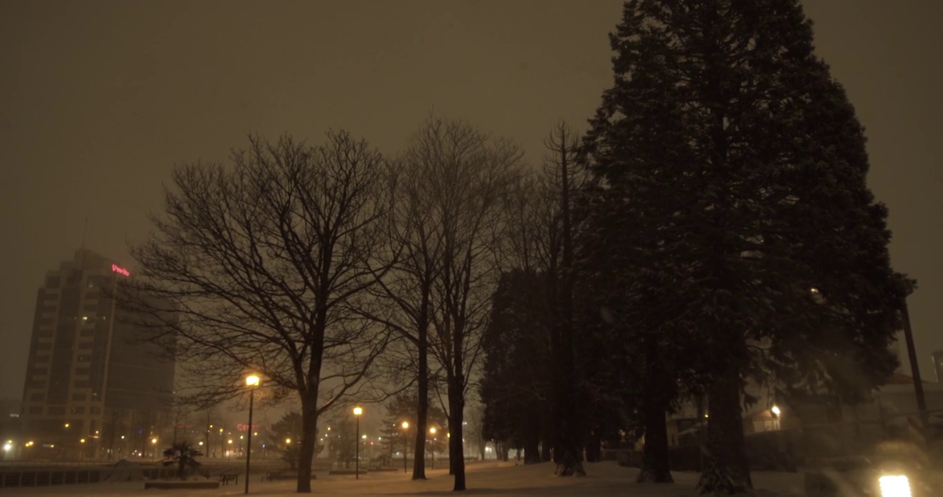 储存温哥华夜晚暴风雪的城市景观镜头视频素材